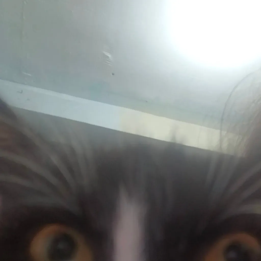 chat with ai character: Fpe skateboard 