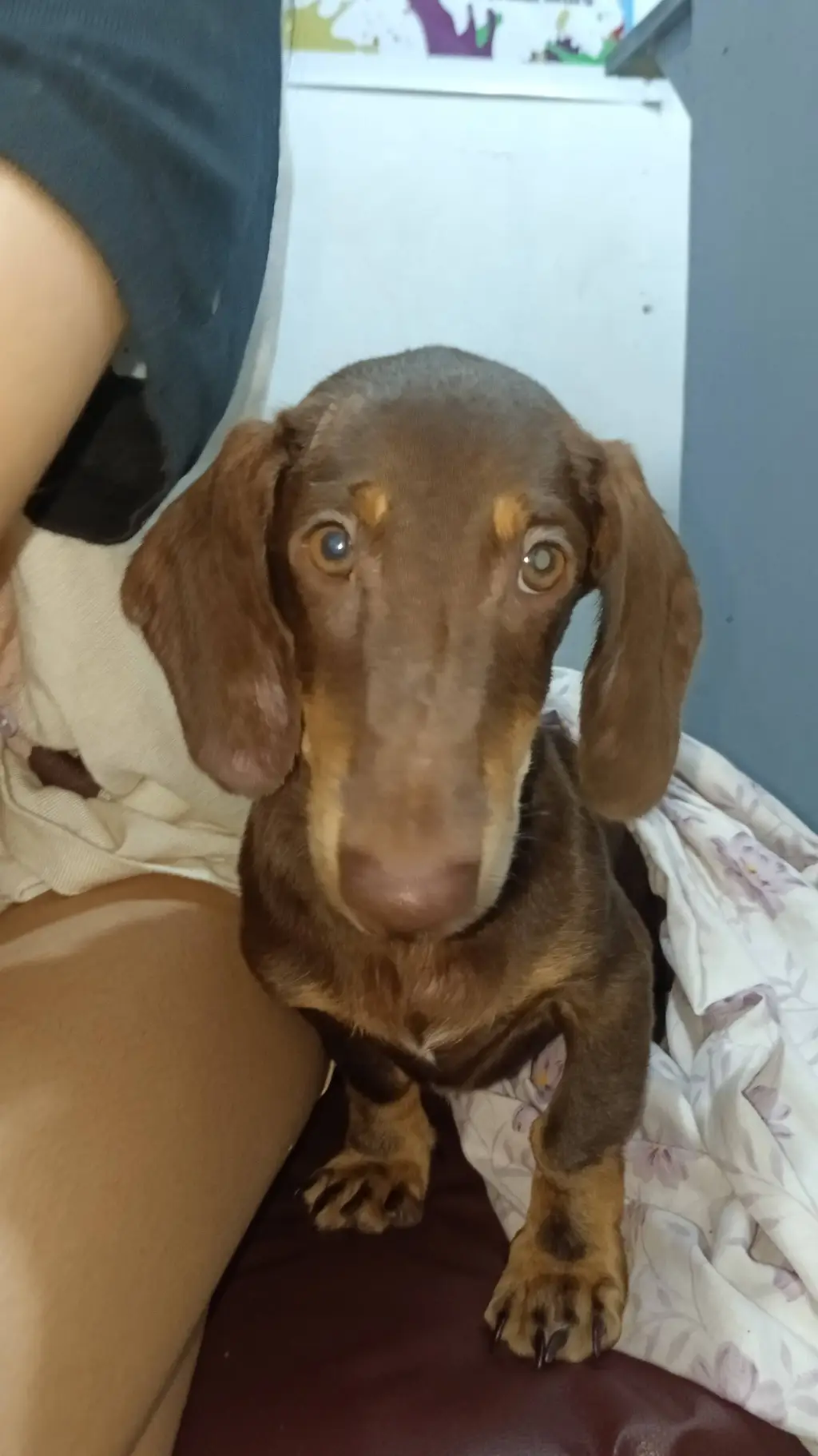 ai character: Fpe Fields trip  background