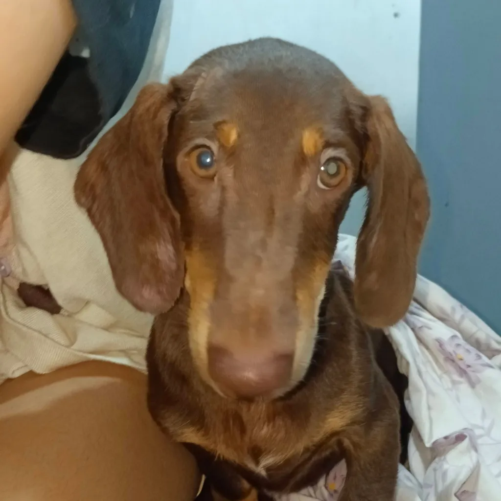 chat with ai character: Fpe Fields trip 