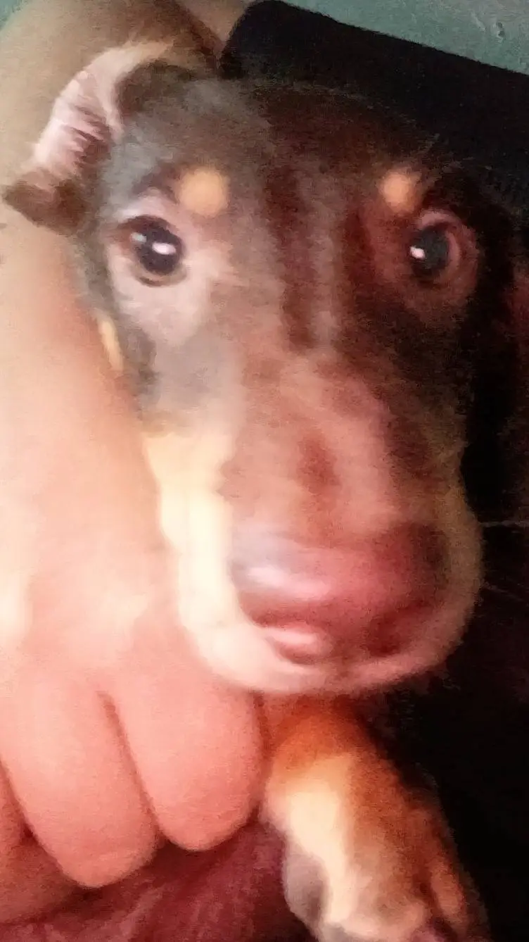 ai character: Fpe Nice day background