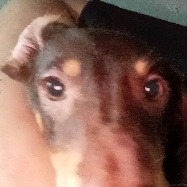 chat with ai character: Fpe Nice day