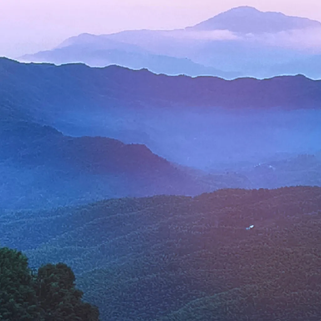 chat with ai character: Fpe Susan's think