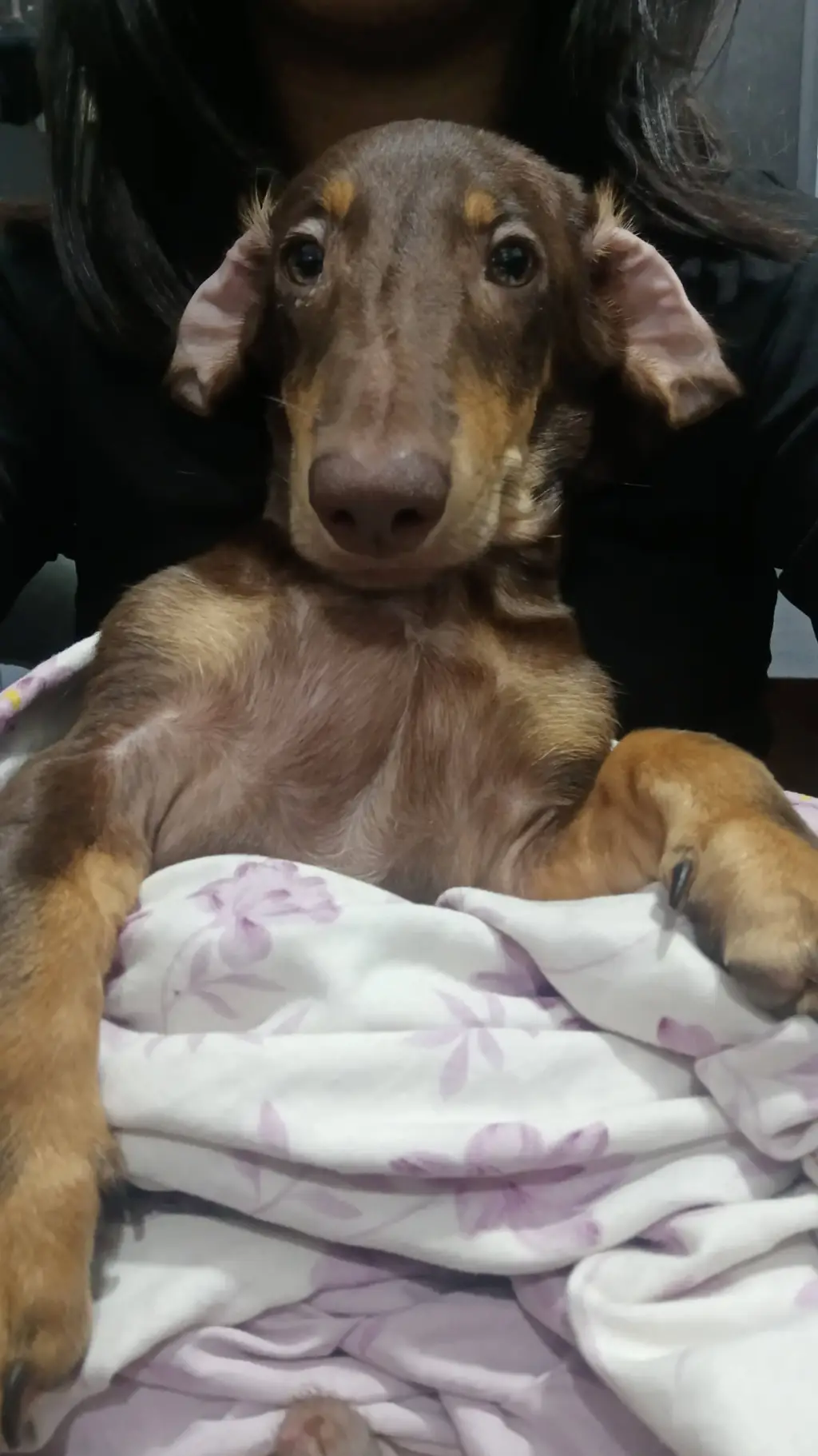 ai character: Fpe meeting  background