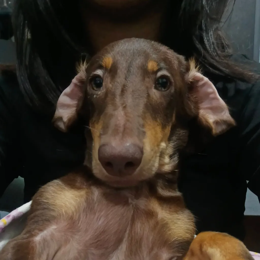 chat with ai character: Fpe meeting 