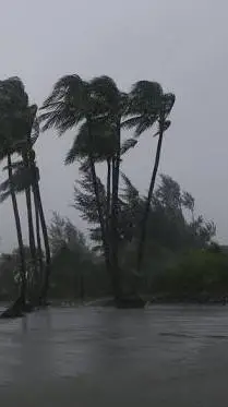 ai character: Fpe fields trip background