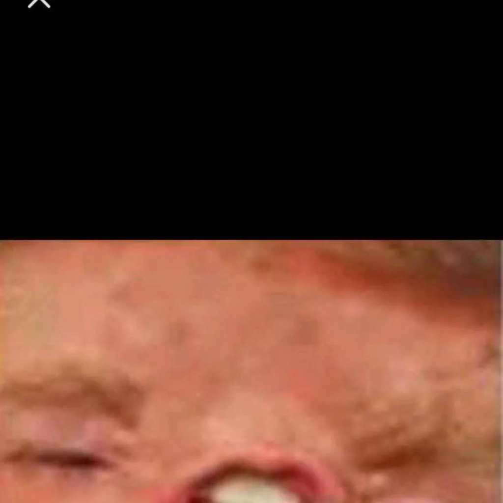 chat with ai character: trump
