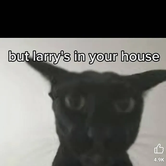 chat with ai character: ＬＡＲＲＹ