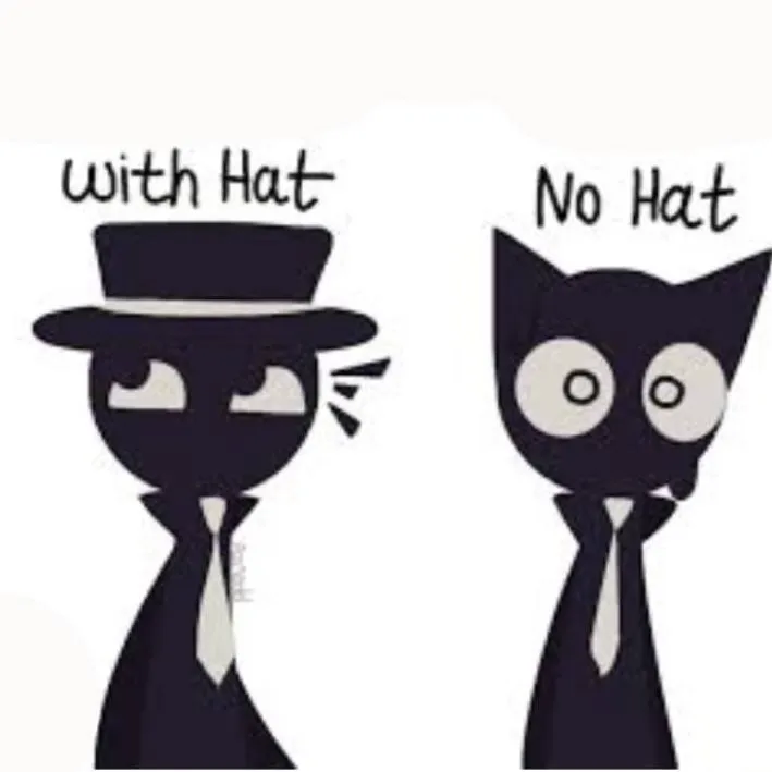 chat with ai character: 🖤❤️🖤Black Cat🖤❤️🖤