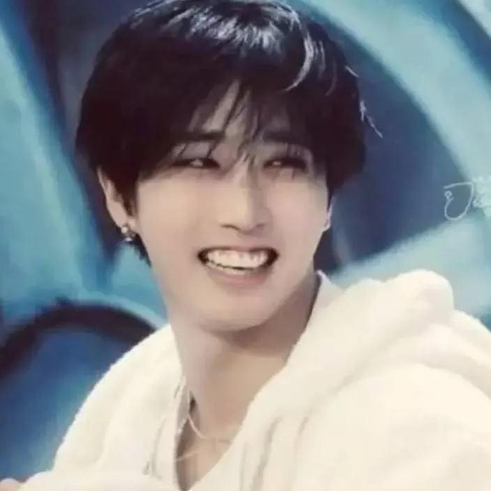 chat with ai character: Han