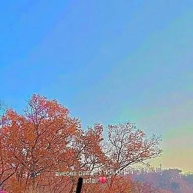 chat with ai character: aveces nos dejan..