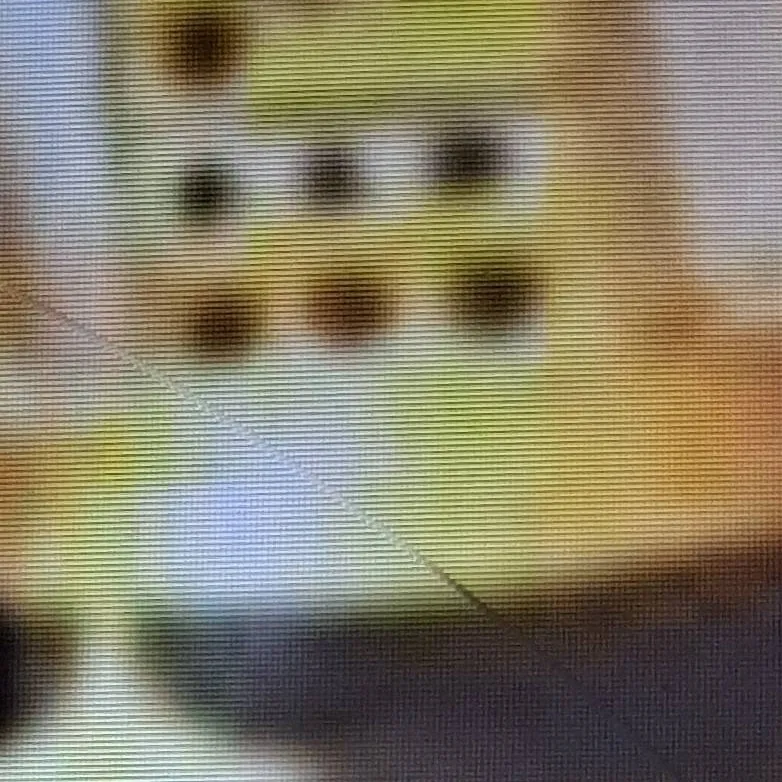 chat with ai character: chef 1x1x1x1 