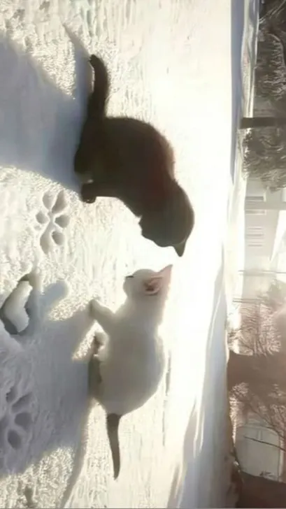 ai character: Muzan background