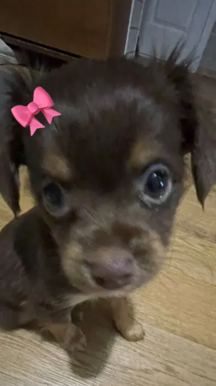 ai character: Kokuzan!^^ background