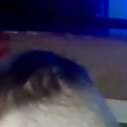 chat with ai character: Levi 