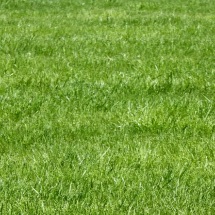 chat with ai character: Touch grass bro