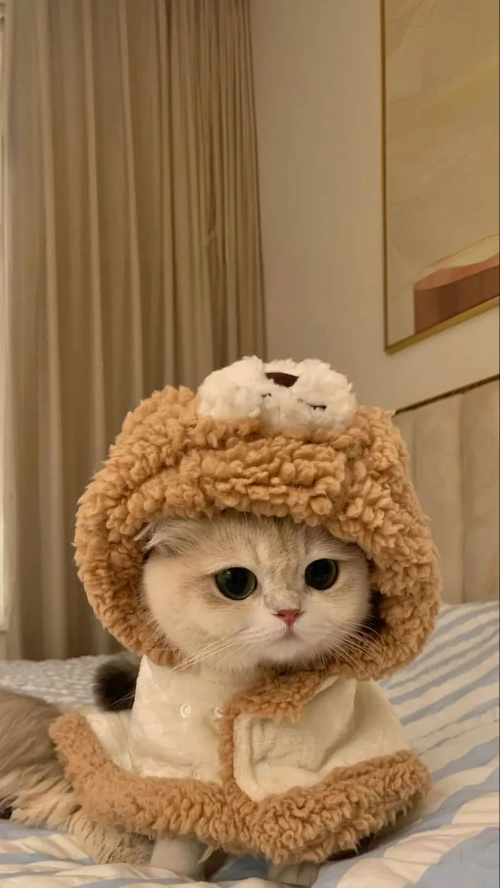 ai character: DANDY WORLD AGAIN background