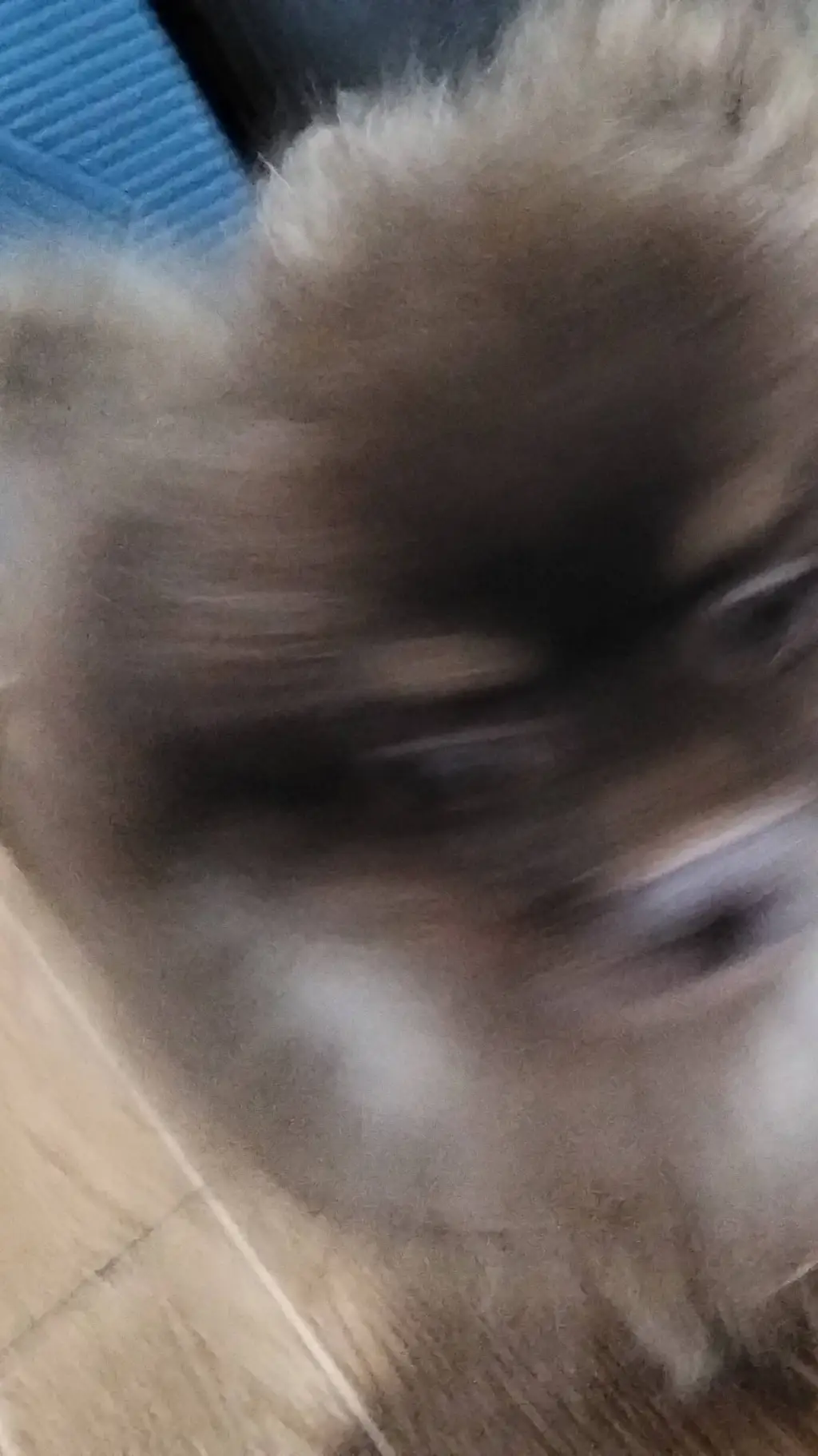 ai character: pick me dandy word background