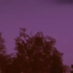 chat with ai character: dw sleepover 