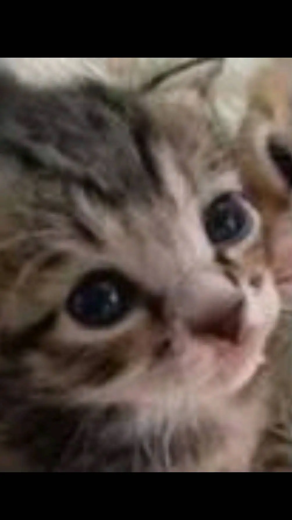 ai character: ♡~Me~♡ background