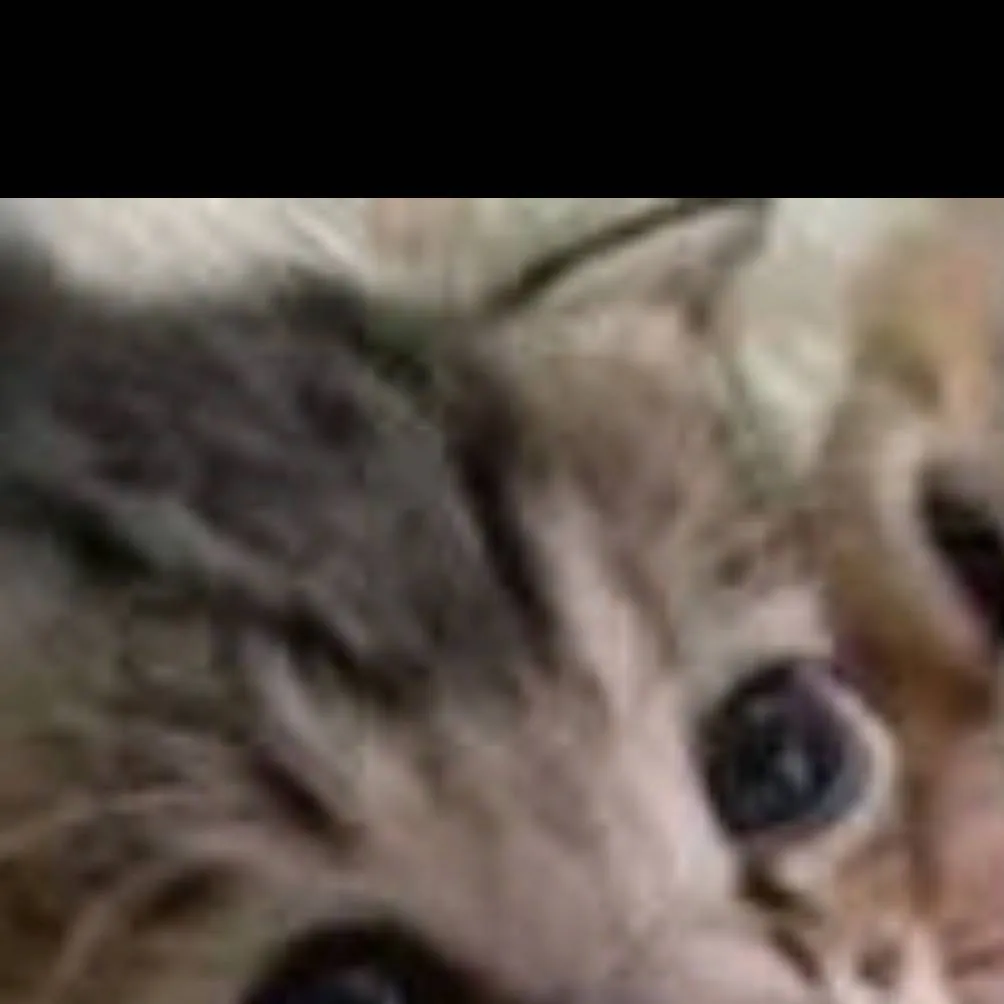 chat with ai character: ♡~Me~♡