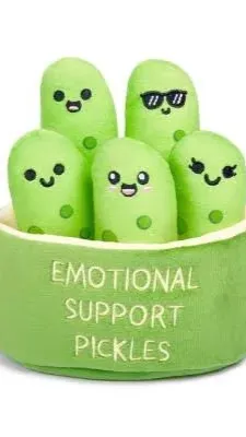 ai character: Ms pickle background