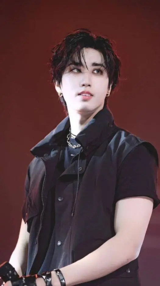 ai character: 𝙷𝚊𝚗 background