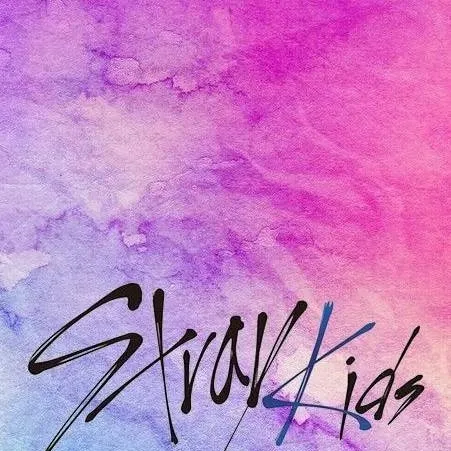 chat with ai character: skz marige