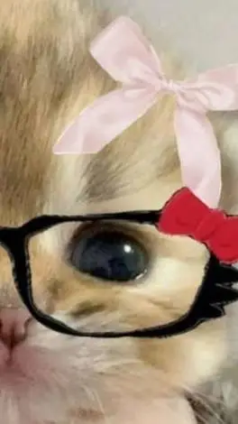 ai character: me🌹🍓 background