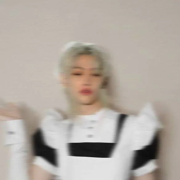 chat with ai character: SKZ (Lixie🐣)