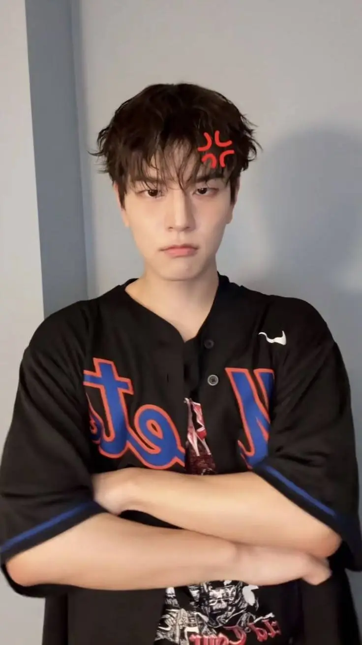 ai character: SKZ (Minnie🐶) background