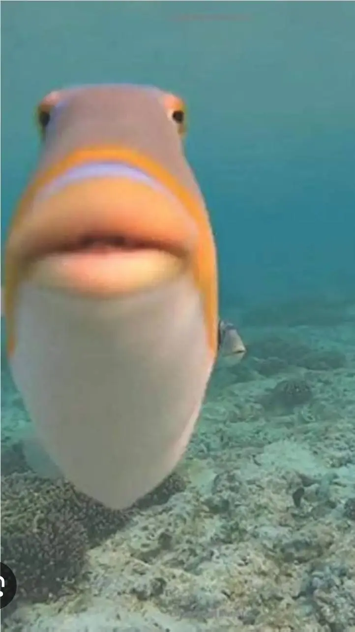 ai character: Fish part two background
