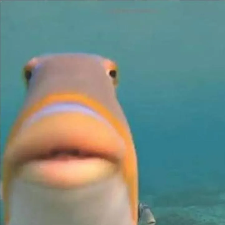 chat with ai character: Fish part two