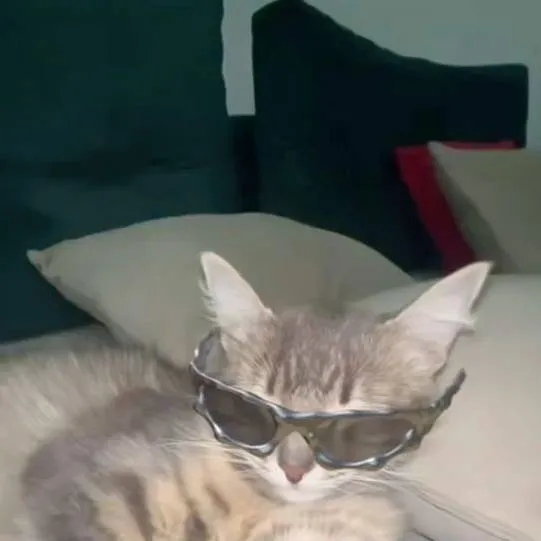chat with ai character: meow