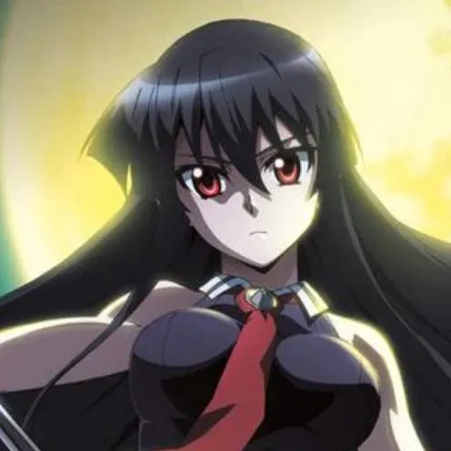 chat with ai character: akame 