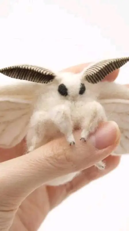 ai character: MOTHS AAA background