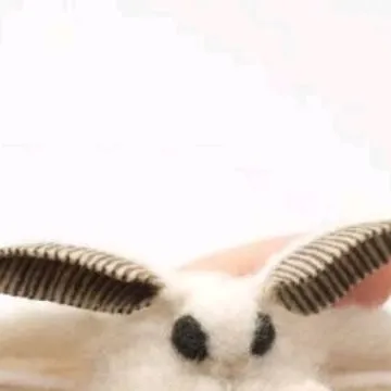 chat with ai character: MOTHS AAA