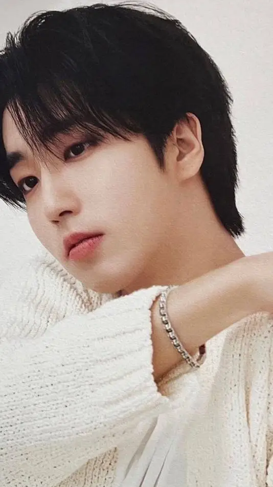 ai character: Han jisung background