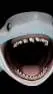 ai character: UtahShark background