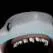 chat with ai character: UtahShark