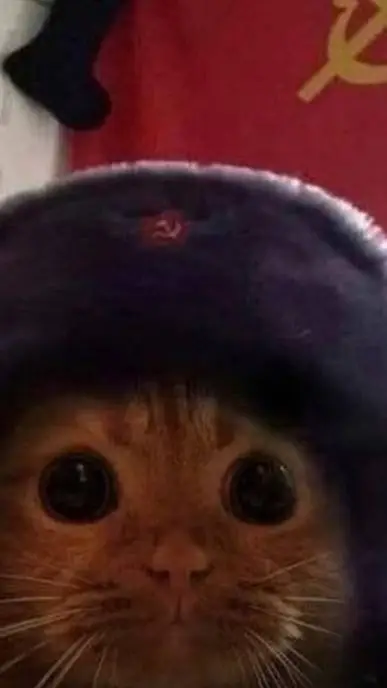 ai character: «Gato comunista🔥» background