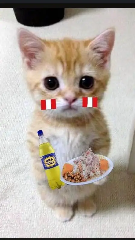 ai character: «Gato peruano😃» background