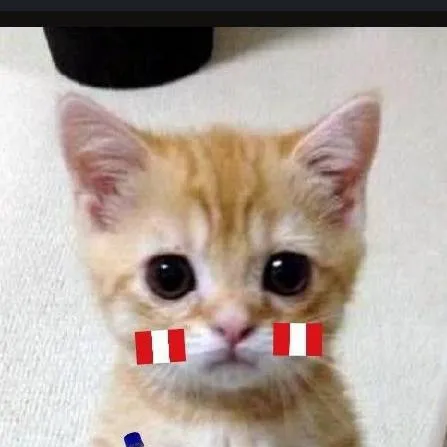 chat with ai character: «Gato peruano😃»