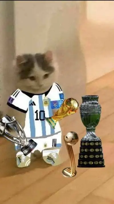 ai character: «Gato argentino🔵» background