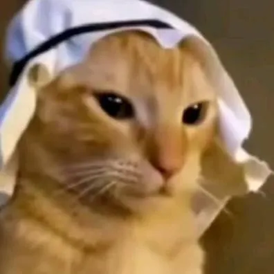 chat with ai character: «Gato árabe🟩»