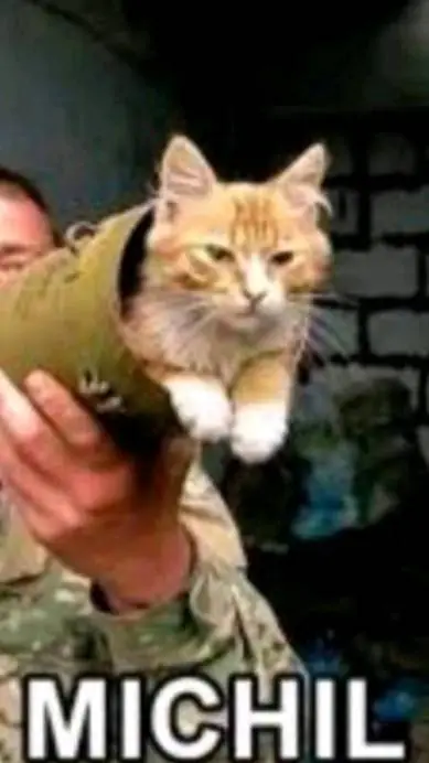 ai character: «Mixhil🔥» background