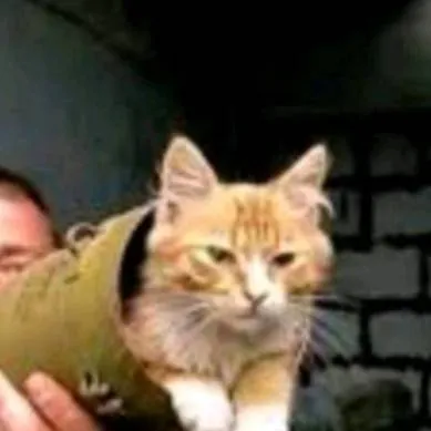 chat with ai character: «Mixhil🔥»