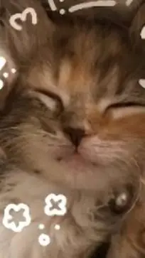 ai character: kitchen background