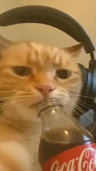 ai character: Sigma cat background