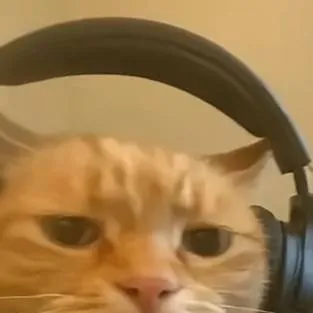 chat with ai character: Sigma cat