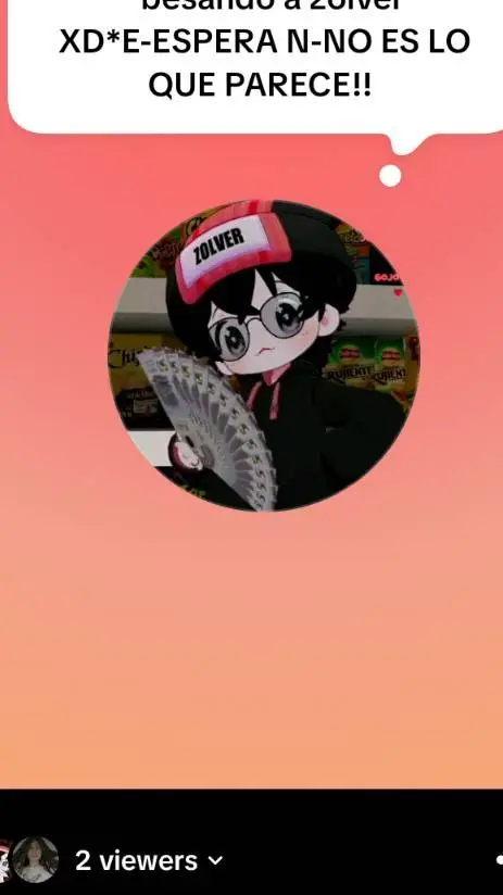 ai character: zolver background